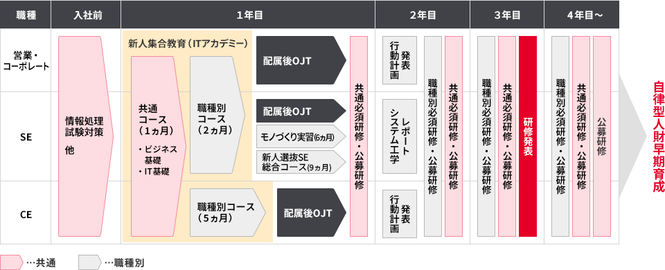 育成スキームの流れ