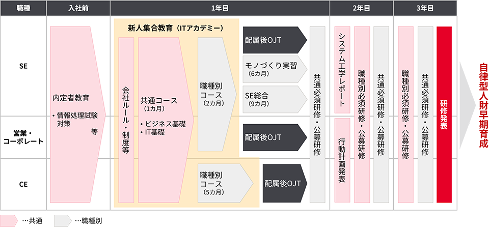育成スキームの流れ