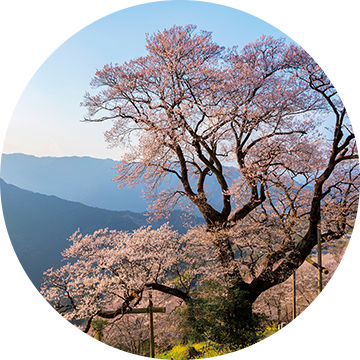 22年オリジナルカレンダー 株式会社日立システムズ