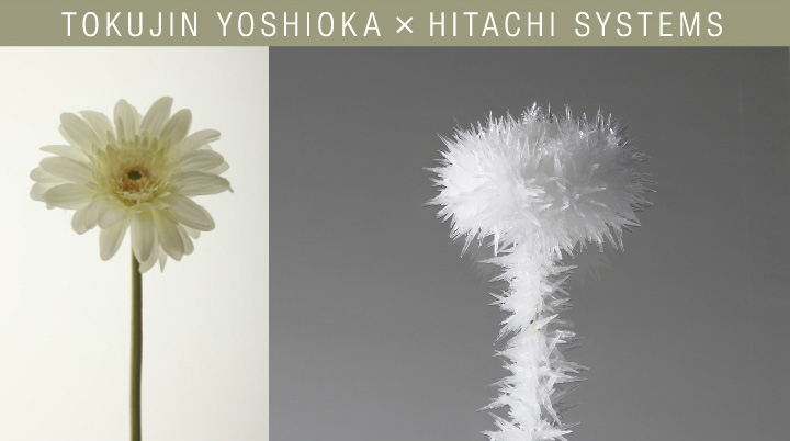 TOKUJIN YOSHIOKA × HITACHI SYSTEMS コンセプト