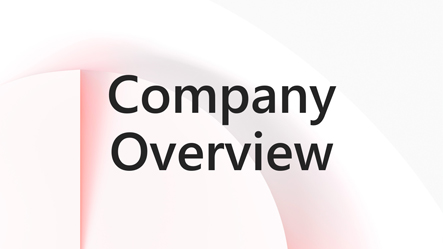 Company Overview