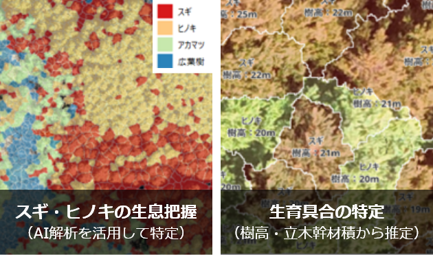 スギ・ヒノキの生息把握（AI解析を活用して特定）と、生育具合の特定（樹高・立木幹材積から推定）のイメージ図