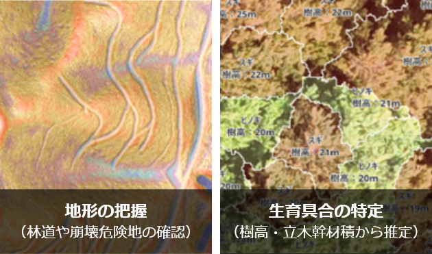 地形の把握（林道や崩壊危険地の確認）と、生育具合の特定（樹高・立木幹材積から推定）のイメージ図