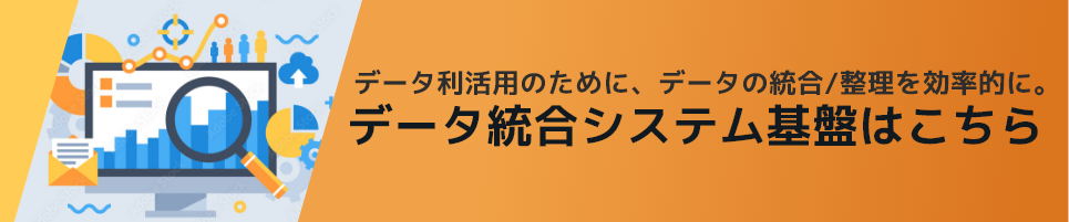 インフォマティカ データ統合システム基盤