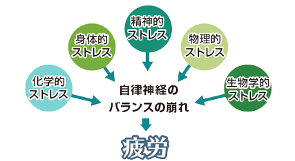 心身のバランスに影響する５つのストレス