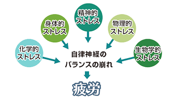 心身のバランスに影響する５つのストレス