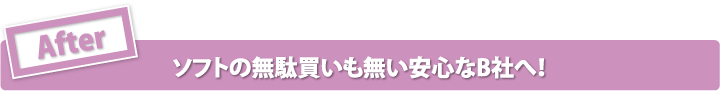 ［After］ライセンスの所有状況と最新の使用状況も一目瞭然！ソフトの無駄買いも無い安心なB社へ！