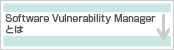 Software Vulnerability Managerとは