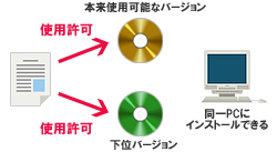 図3：重複インストールを許可するライセンスの使用