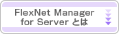 FlexNet Manager for Server とは