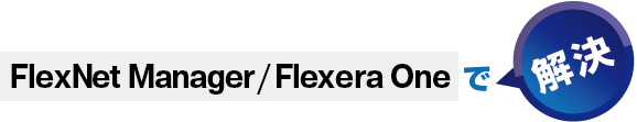 FlexNet Manager Suiteで課題解決