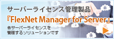 サーバーライセンス管理製品「FlexNet Manager for Server」