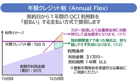 年額クレジットカード制（Annual Flex）