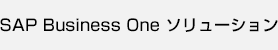 SAP Business One ソリューション