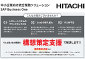 SAP Business One向け構想策定支援