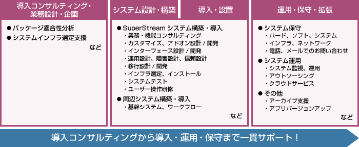 導入支援の内容