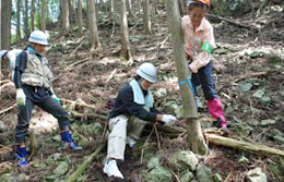 喜多郎氏とともに間伐作業