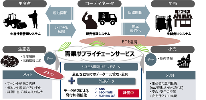 「青果サプライチェーンサービス」のイメージ図