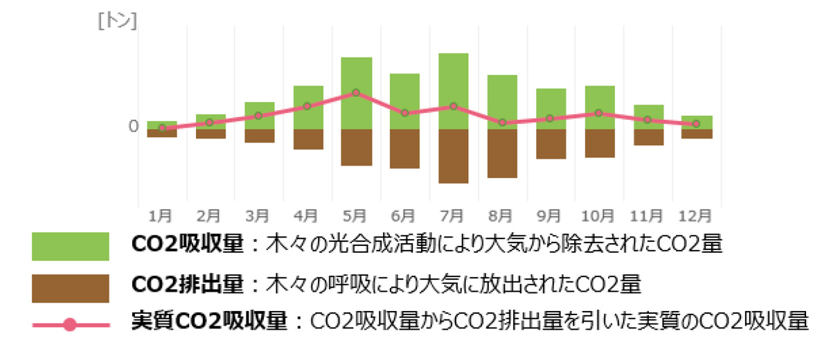 2021年度の月次CO2吸収量推移