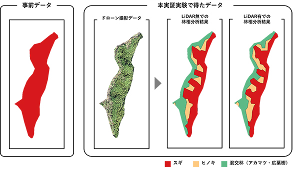 図2 林相の分析結果