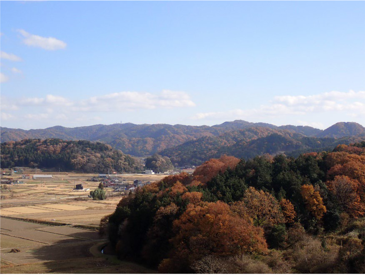 今回のプロジェクトを行う世羅郡の森林