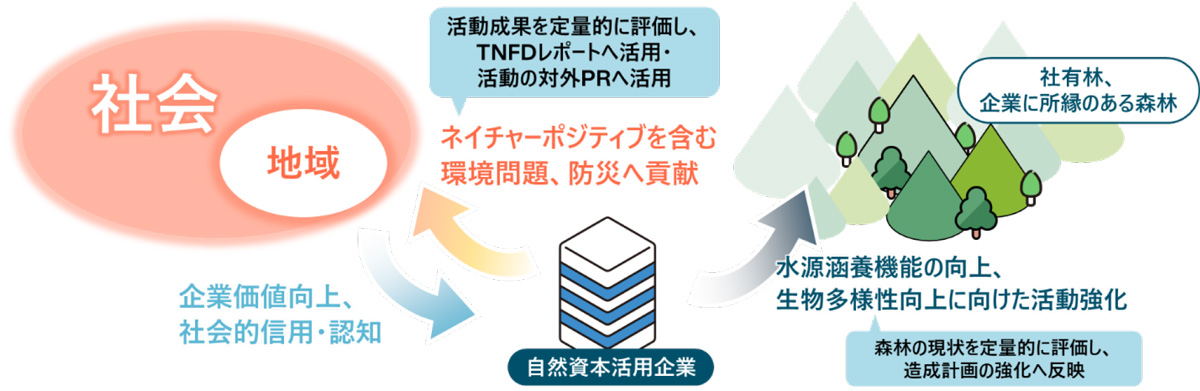 本実証実験の成果の活用イメージ