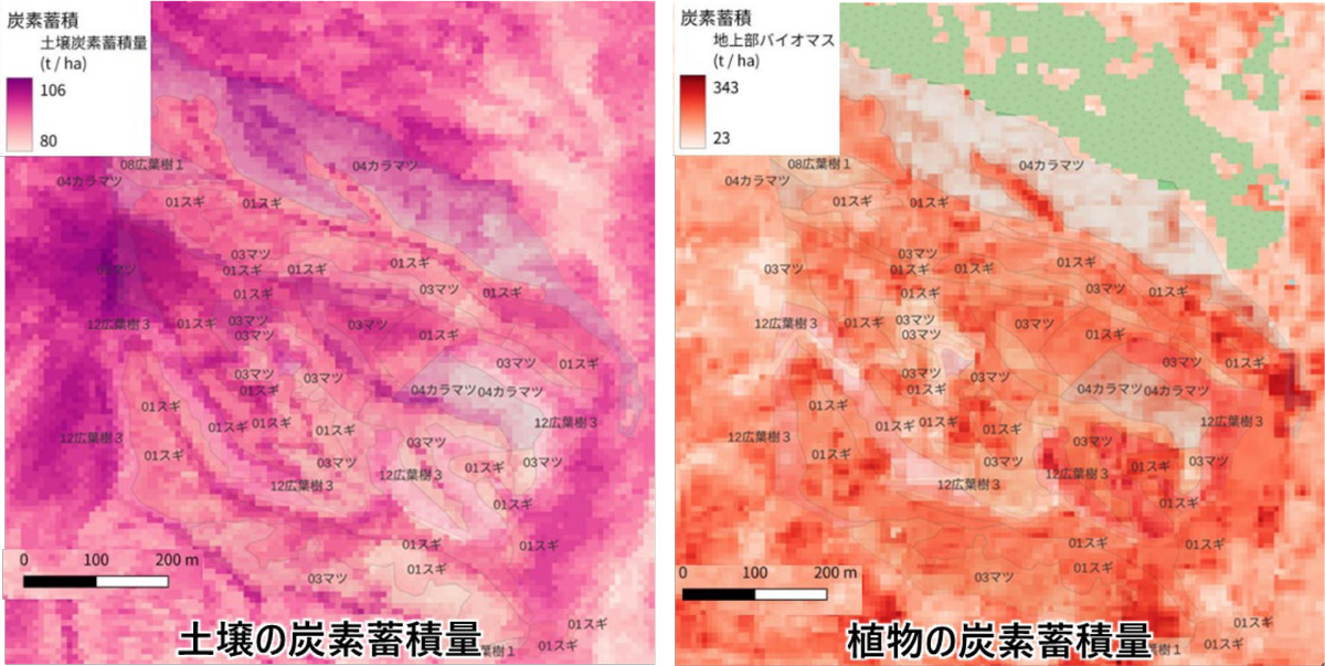 炭素蓄積量ヒートマップ(実証実験結果より抜粋)