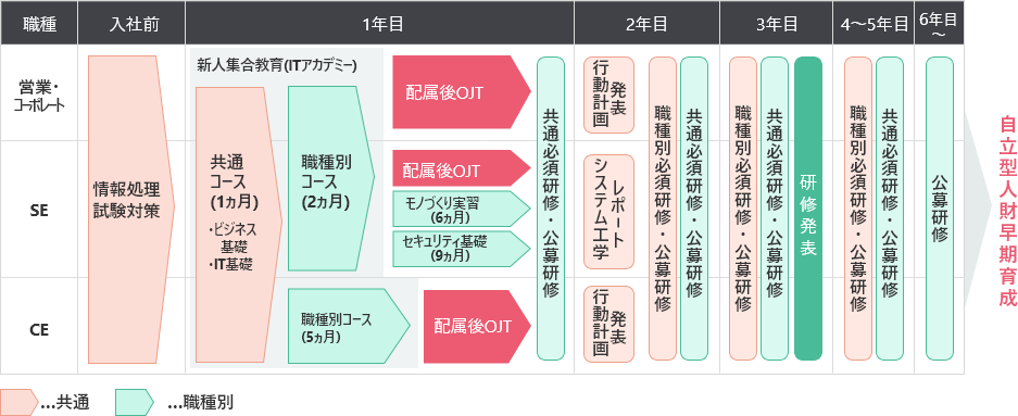 図：若年層教育体系