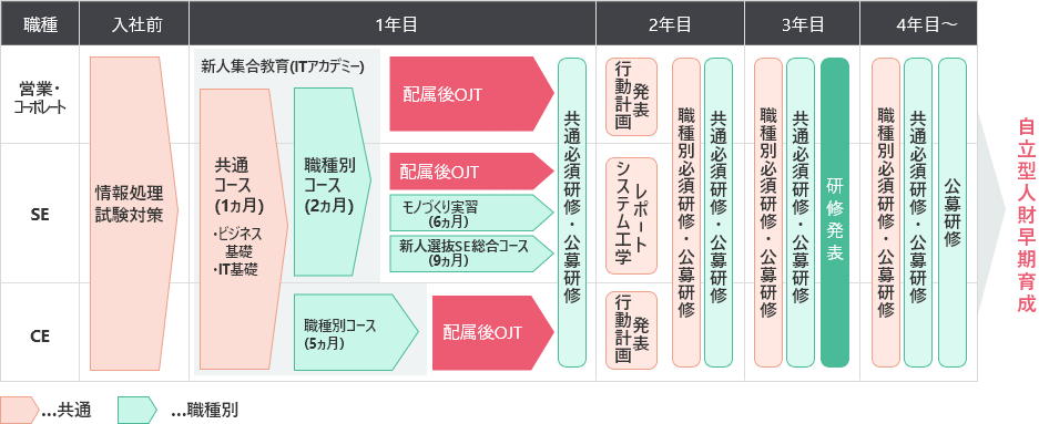 図：若年層教育体系