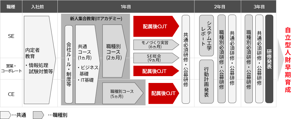 図:若年層教育体系