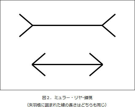 図2．ミュラー・リヤー錯視（矢羽根に囲まれた線の長さはどちらも同じ）