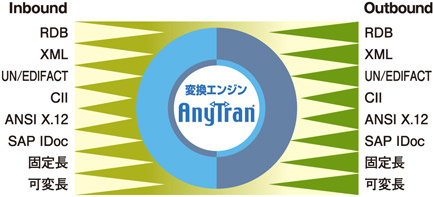 AnyTran