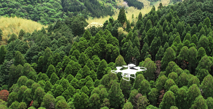 ドローンとAI解析による森林調査DXサービスを開始