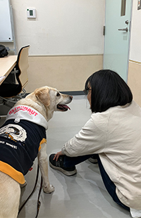 盲導犬ダレン 引退 2