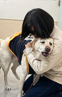 盲導犬ダレン 引退 3