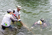 海底清掃の様子