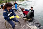 海底清掃の様子