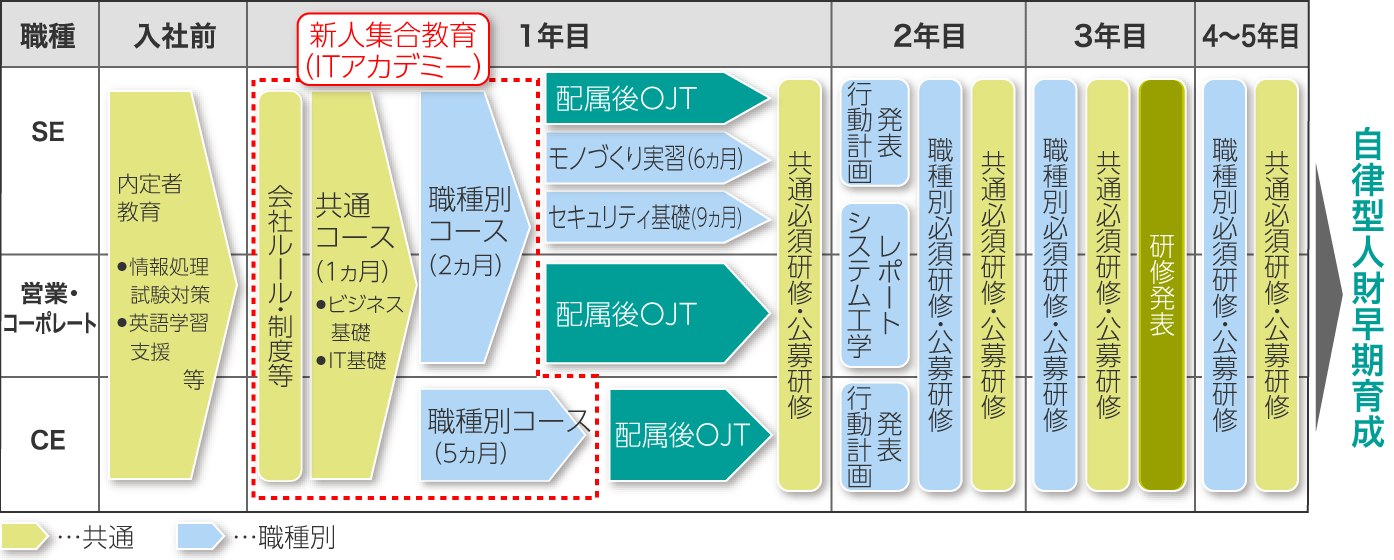 若年層教育体系の図