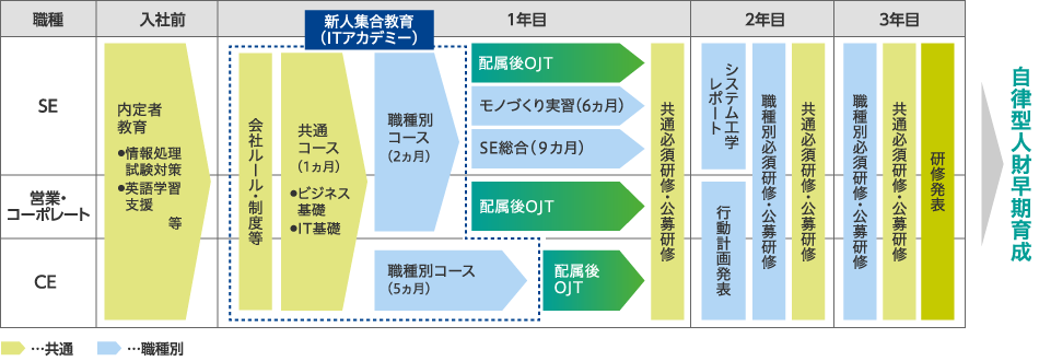 若年層教育体系の図