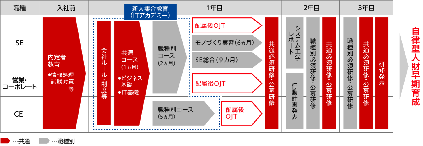 若年層教育体系の図