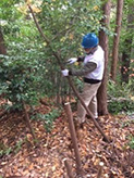 地域の清掃活動の様子