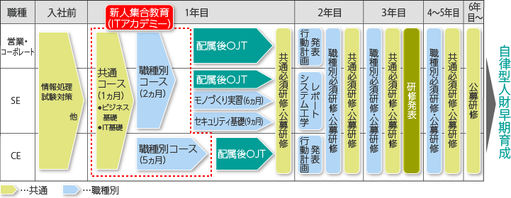 若年層教育体系の図